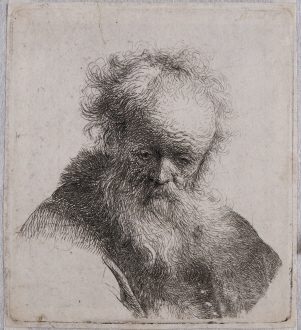 Old Man with Flowing Beard and White Sleeve