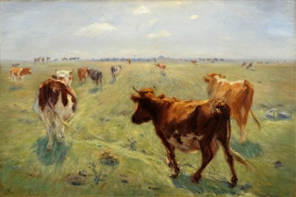 Cows out to Graze