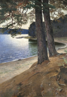 Pine Trees at Water