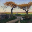 Landscape from Halland
