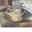 The Cat in the Basket
